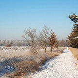Lommel during winter time